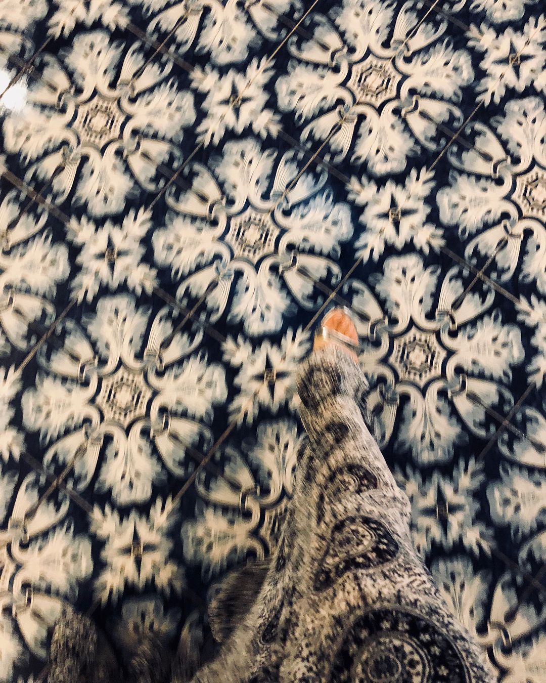 01474.jpg