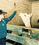 01281.jpg