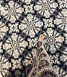 01474.jpg