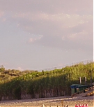 ALC-LR0938.jpg