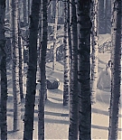 ALC-MM0355.jpg