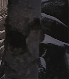 ALC-MM0502.jpg