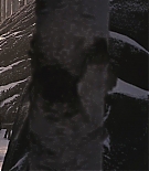 ALC-MM0503.jpg