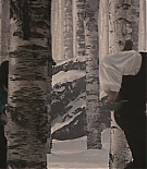 ALC-MM0606.jpg