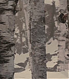 ALC-MM0608.jpg