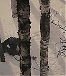 ALC-MM0619.jpg
