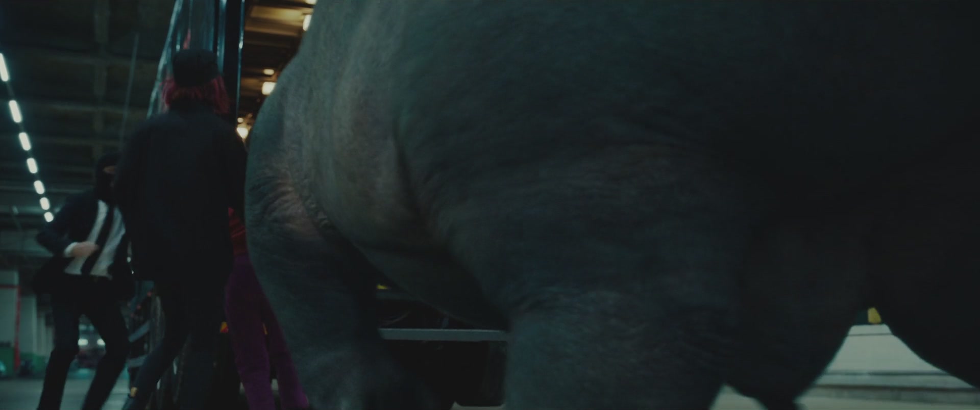 ALC-OKJA053.jpg