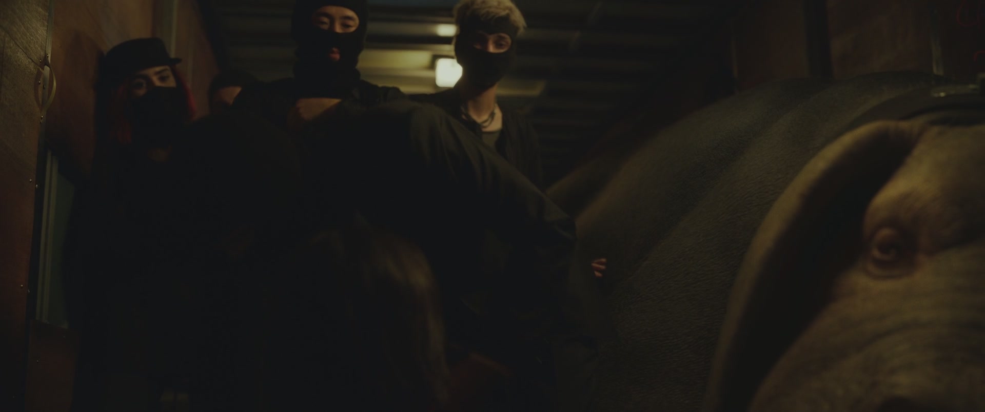 ALC-OKJA063.jpg