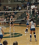 ALC-TBS003.jpg